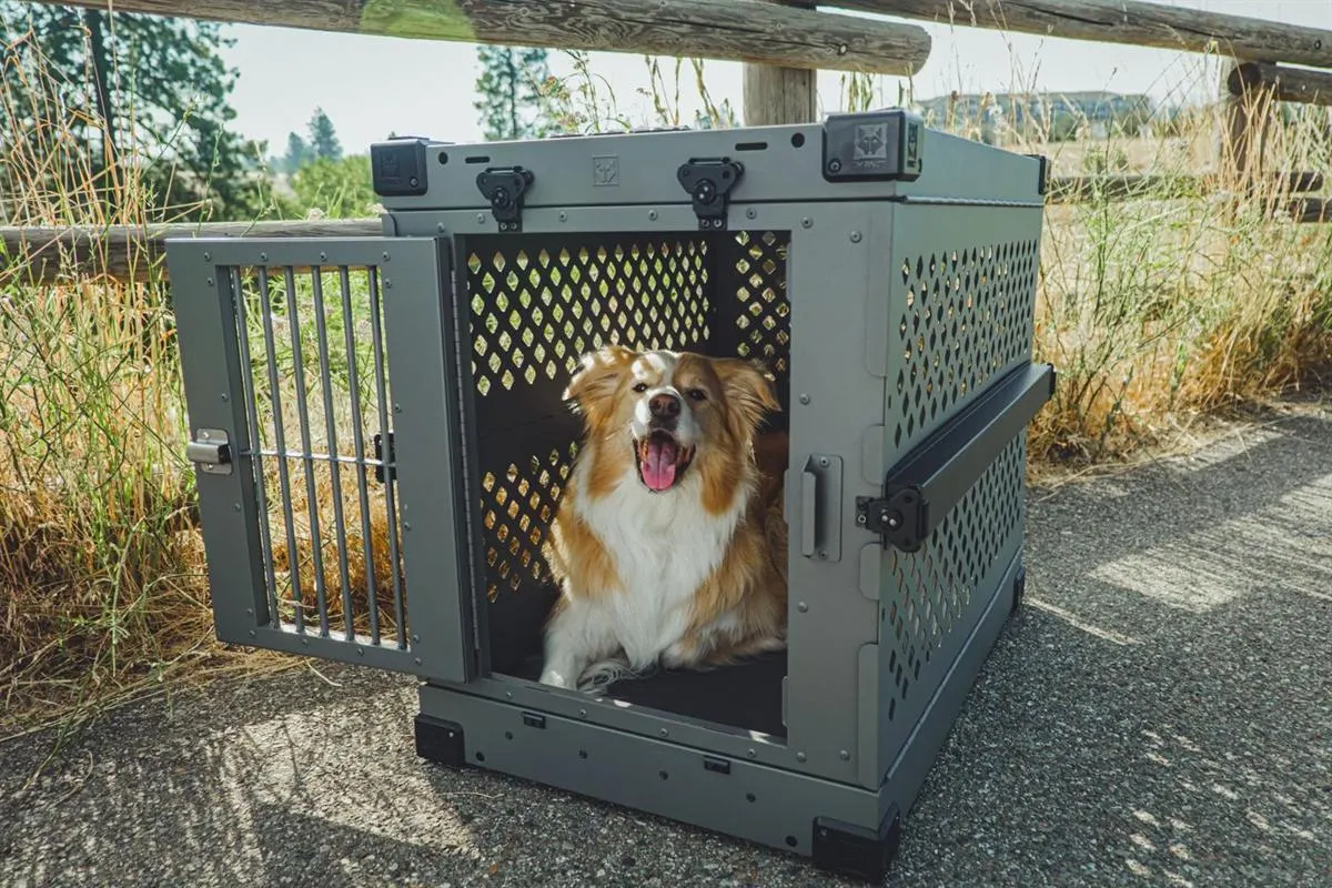 Pet dog resting in a travel crate before relocation